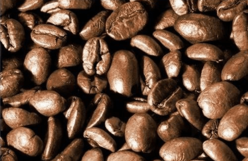Coffee Robusta Oil CO2 - Kanta Essentials