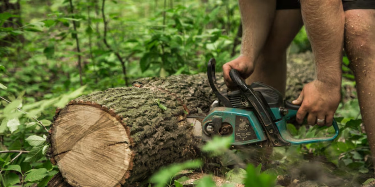 Complete Guide to Stump Grinding Service Fairhope AL and Tree Trimming Fairhope AL