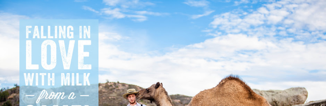 desert farms