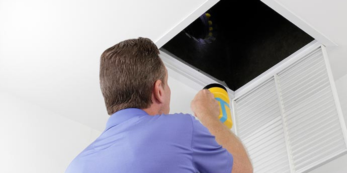 Common Indoor Air Quality Issues and Their Solutions