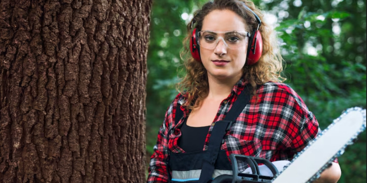 Tree Care Solutions for a Healthier Landscape in Midtown Mobile, AL