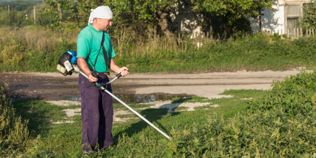 From First Impressions to Lasting Impact: Smart Lawn & Snow Care for Lethbridge Businesses