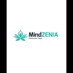 mindzenia startup
