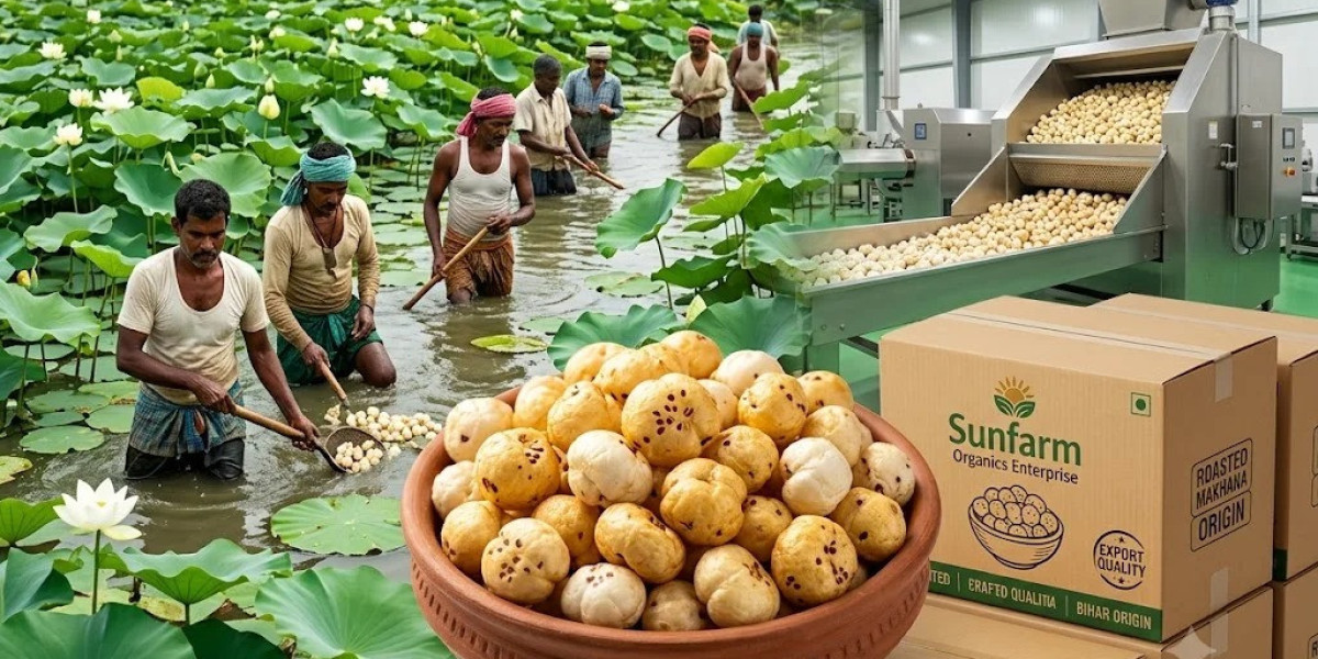 Custom Flavoured Makhana Supplier: Premium White Label and Contract Manufacturing Solutions