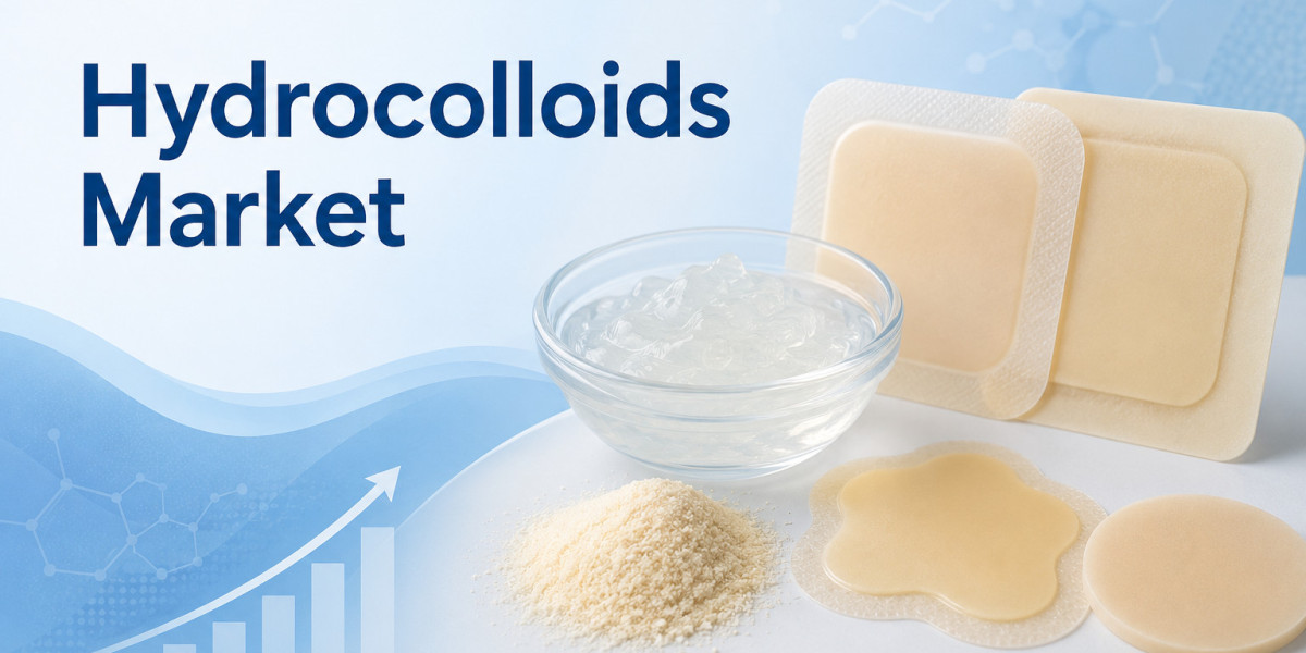 Plant-Based Alternatives Driving the North America Hydrocolloids Market: Opportunities in Dairy-Free and Meatless Segmen
