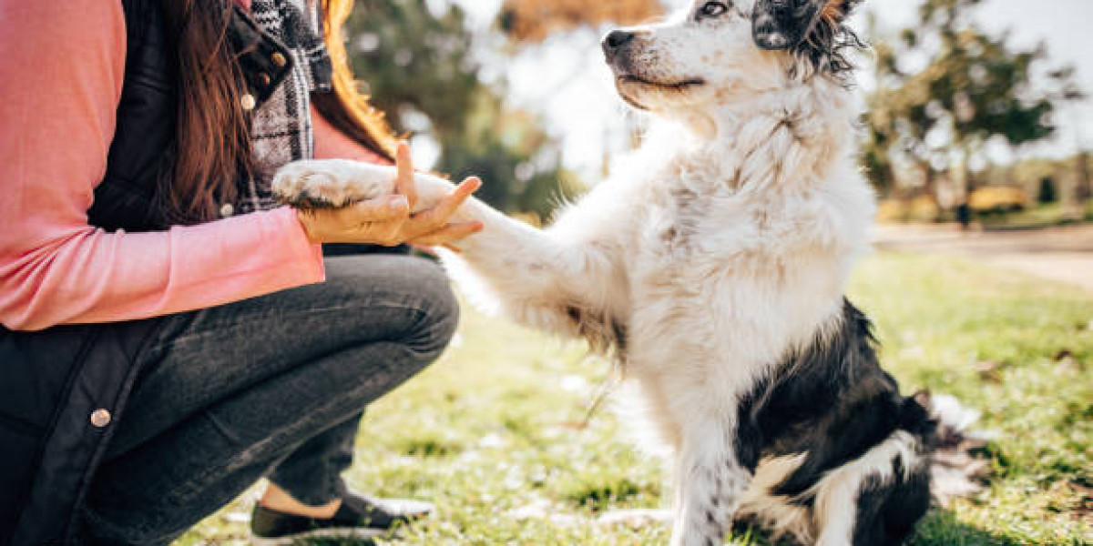 Nigel Reed Dog Trainer: The Man Behind the Dog Guardian Movement