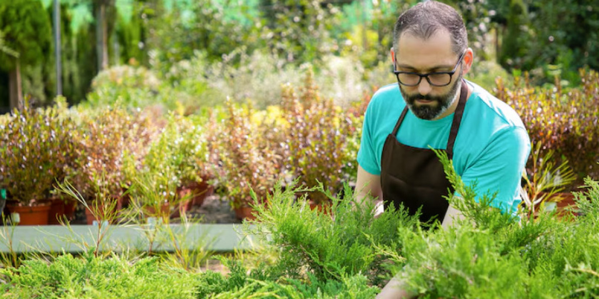 Why Lethbridge Businesses Trust Professional Commercial Lawn & Snow Maintenance Services