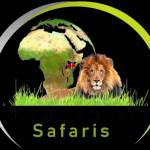 African Memorable Safaris