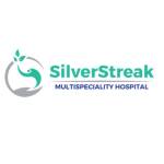 Silverstreak Hospital