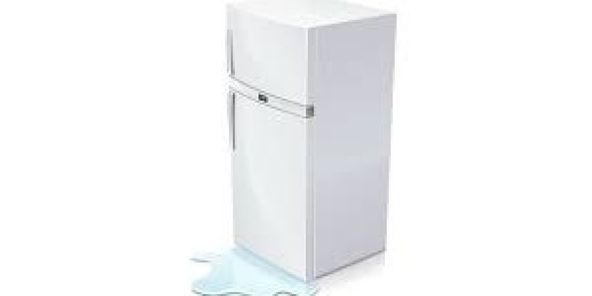 Why Is Water Collecting Inside Your Refrigerator? Causes, Troubleshooting Tips, and Easy Solutions