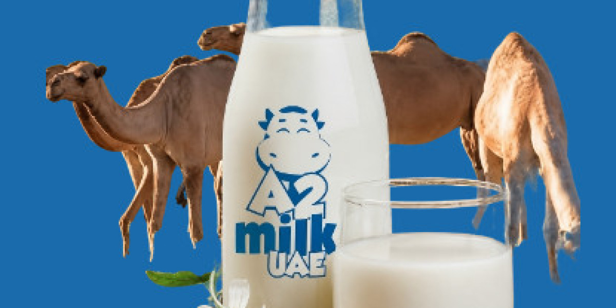 Buy Fresh Camel Milk Dubai
