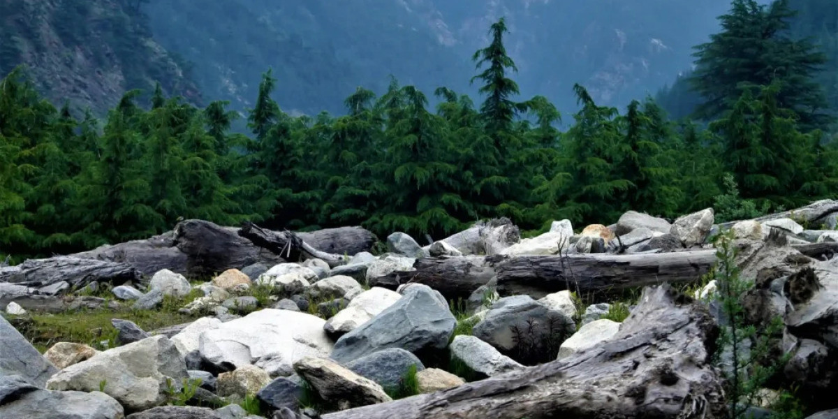 Harsil Valley Tour Package | Junglee Rasta