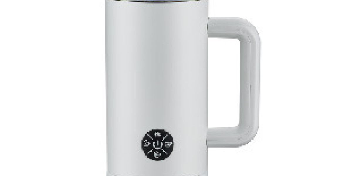 Slow Juicer Manufacturer Driving Beverage Appliance Innovation