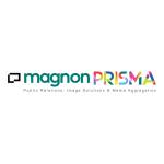 magnonprisma