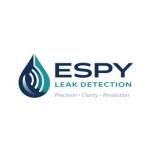 Espy Detection