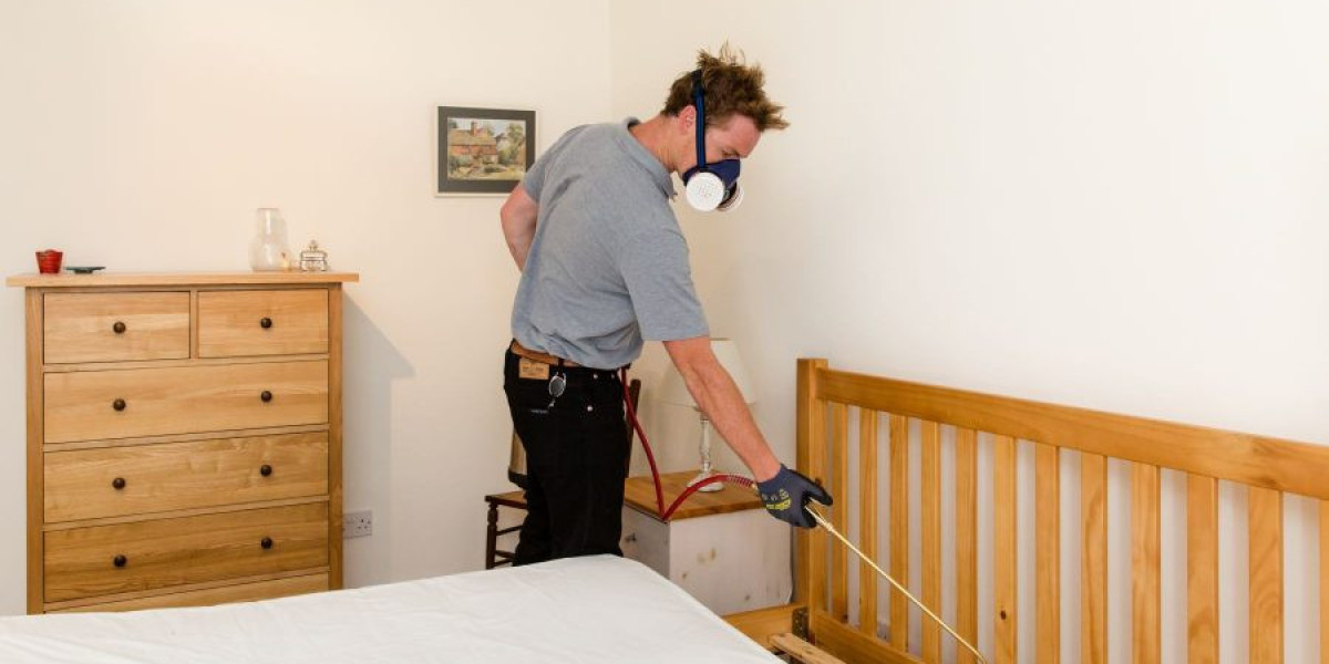 Protect Your Home With Effective Pest Control Solutions