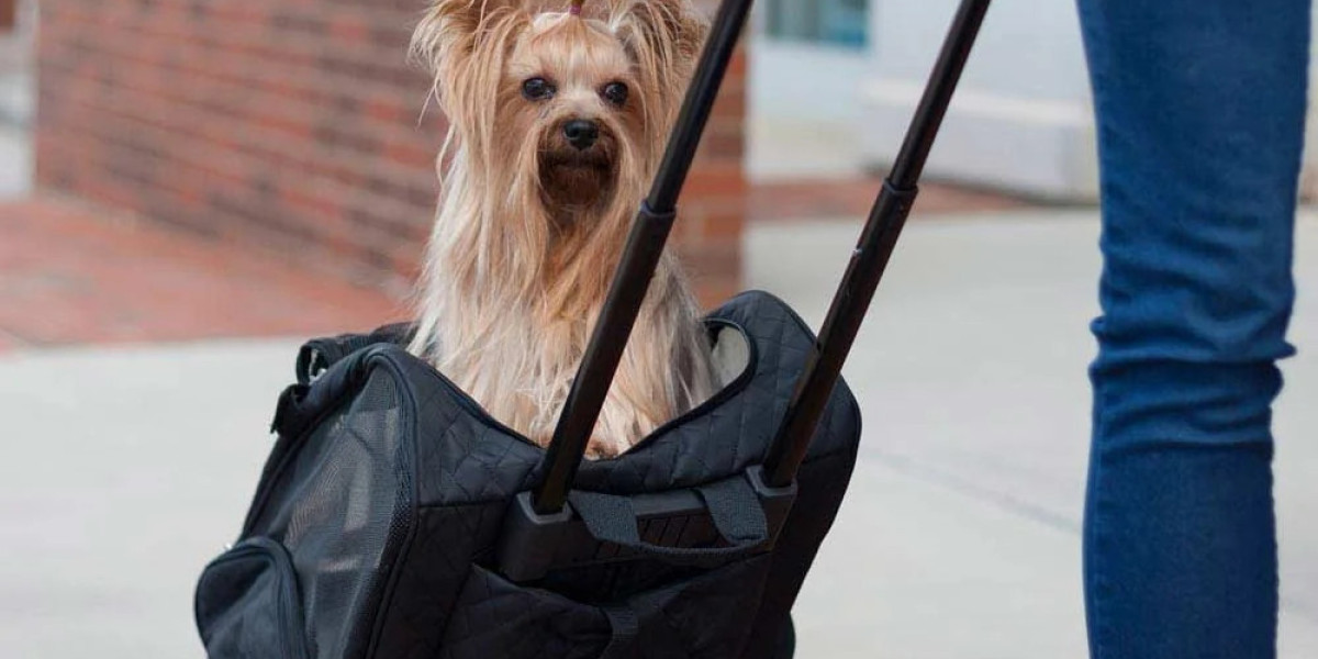 Master Guide to Choosing a Quality Pet Carrier in the UK
