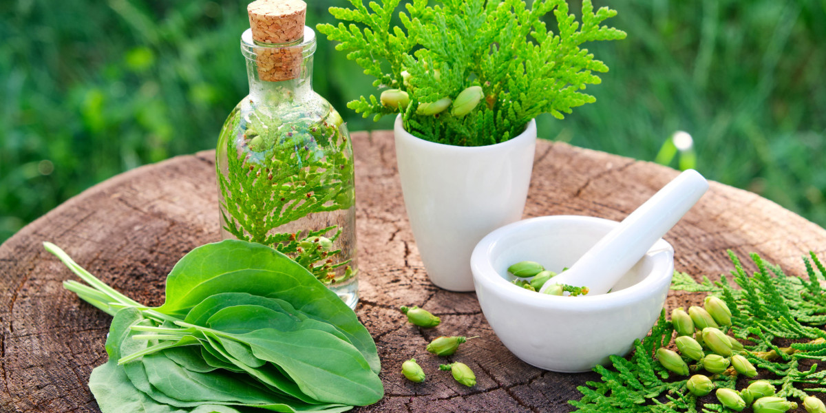Embrace Chitral Herbs for a More Natural Approach to Everyday Wellness