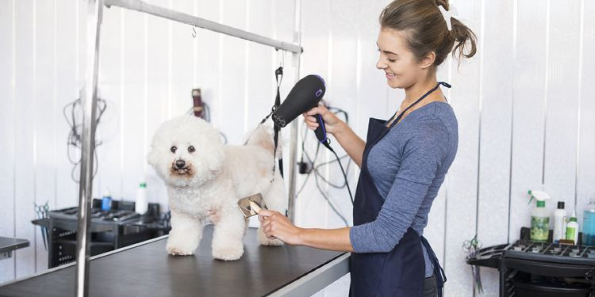 How to Choose the Right Grooming Services for Your Pet?