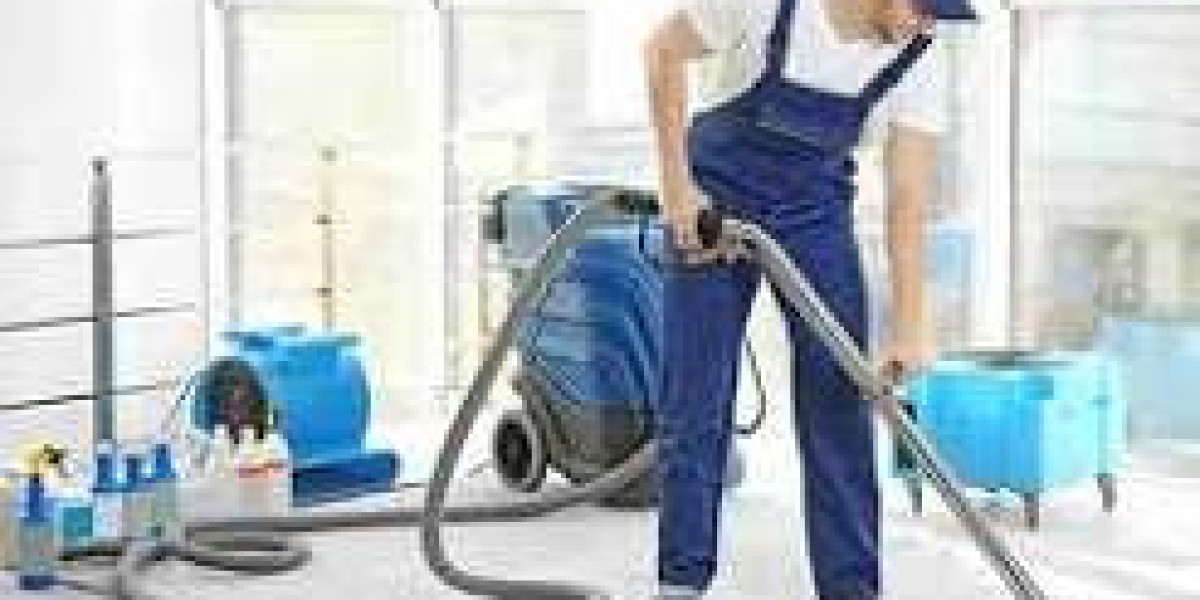 Why Choose Pro Clean Carpet for Deep and Reliable Carpet Cleaning?