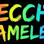 Meccha Chameleon Game