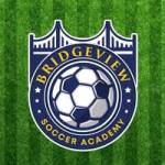 Bridge View Soccer