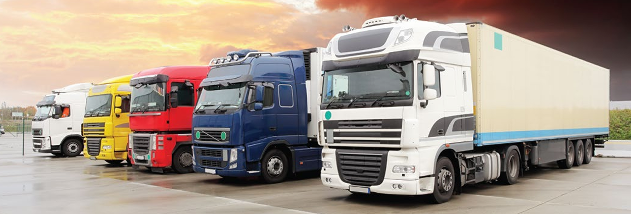 Surface Transport Services & Logistics