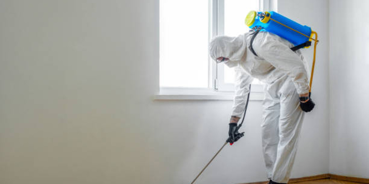 Best Pest Control and Termite Treatment Lahore Services by Teure Termite