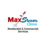 maxsteam clean
