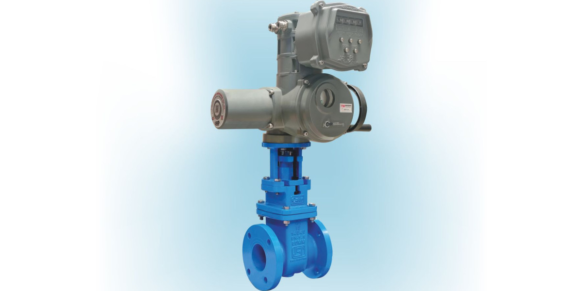 Best Sluice Valve Manufacturer in Ahmedabad, Gujarat, India