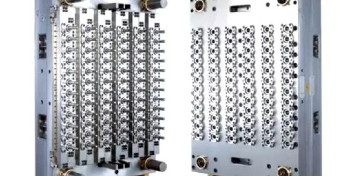 Various Cavity Numbers Moulds For Production | Qhpreformmould