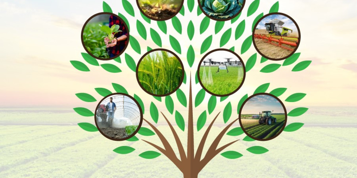Bambara Bean Market Expands Through Plant Protein Demand