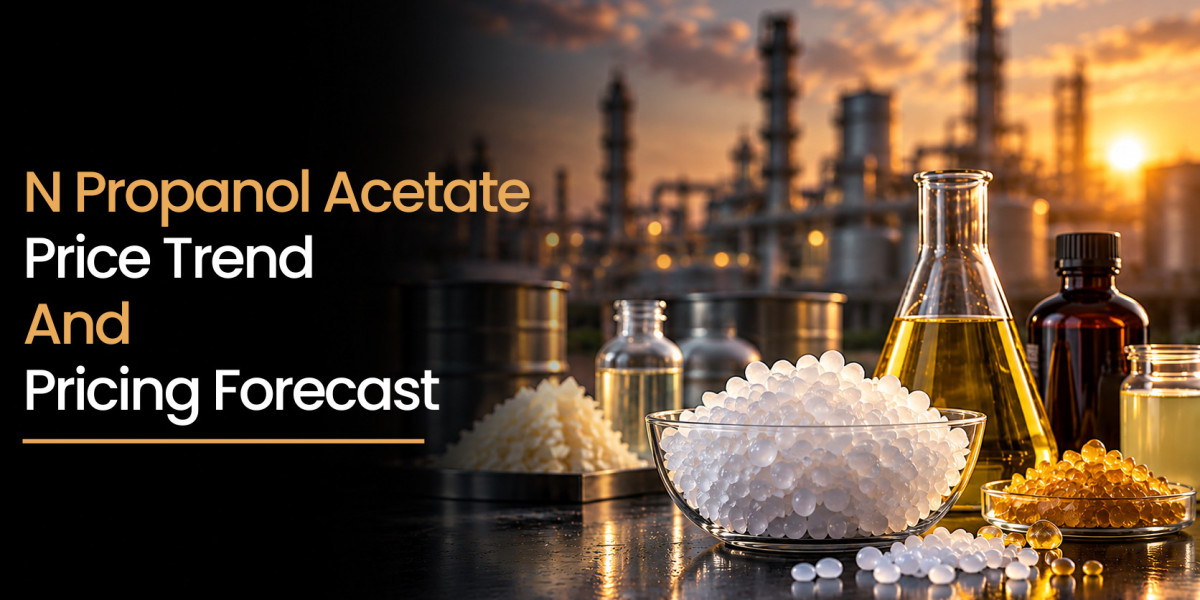 N Propyl Acetate Price Trend in Q1 2026: Decoding Global Market Shifts, Demand Drivers & Future Outlook