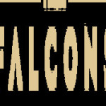 Three falcons
