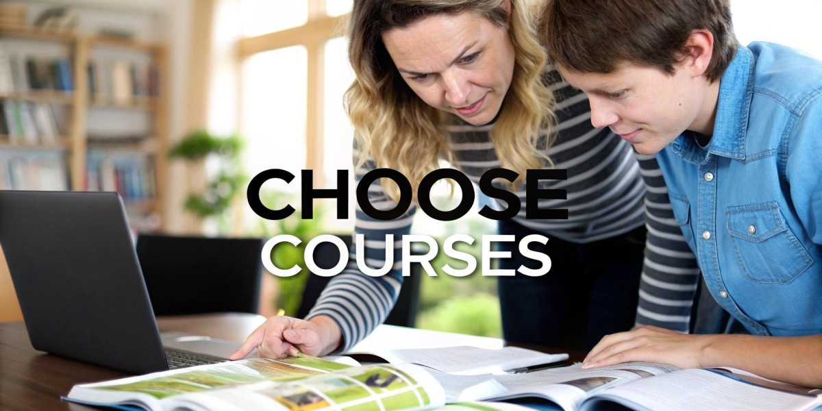 How University and Course Selection Shapes Study Plans