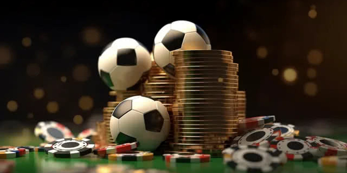 Play99exch: Exploring Its Online Betting Platform and Cricket Features