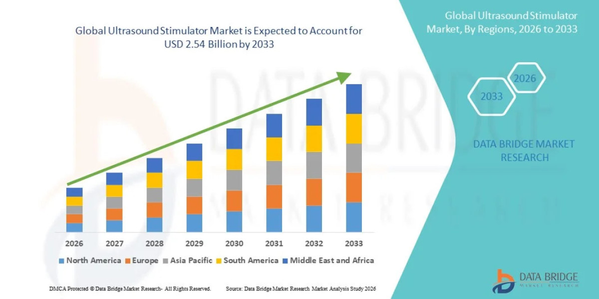 Global Ultrasound Stimulator Market Outlook: Key Trends, Growth Drivers, and Future Opportunities