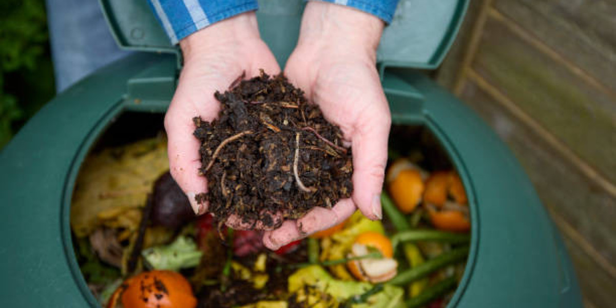 Where Can I Buy Worms Near Me? A Beginner's Guide
