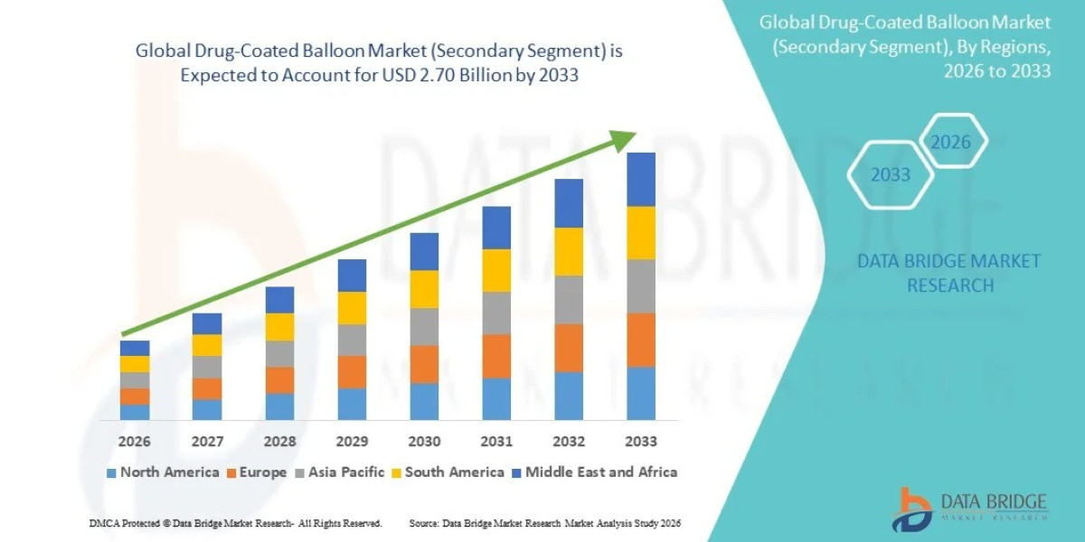 Global Drug-Coated Balloon Market Outlook: Key Trends, Growth Drivers, and Future Opportunities