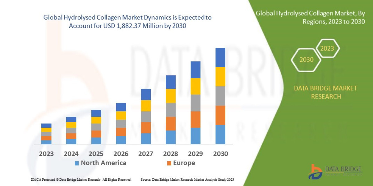 Global Hydrolysed Collagen Market Report: Functional Nutrition, Skincare Innovation and Growth Prospects