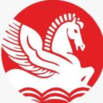 singhalindustries01