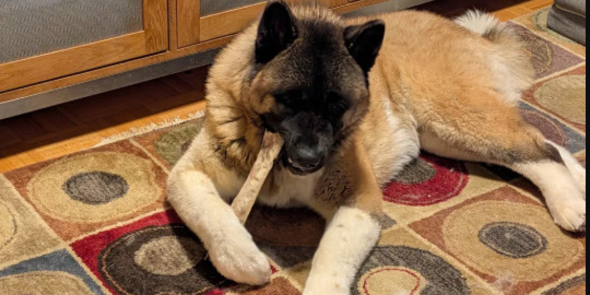 How to Pick Healthy Safe Dog Chews That Actually Work