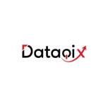 Data Qix