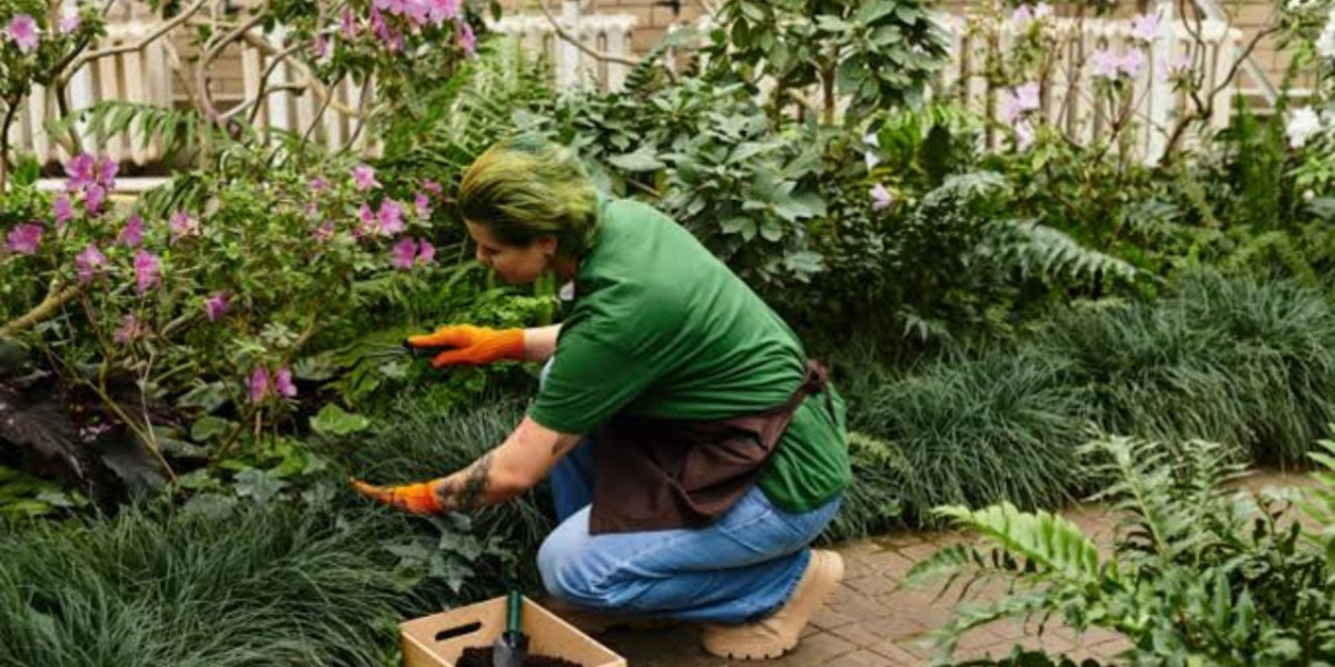Gardening Trends Shaping Healthier Home Gardens in 2026