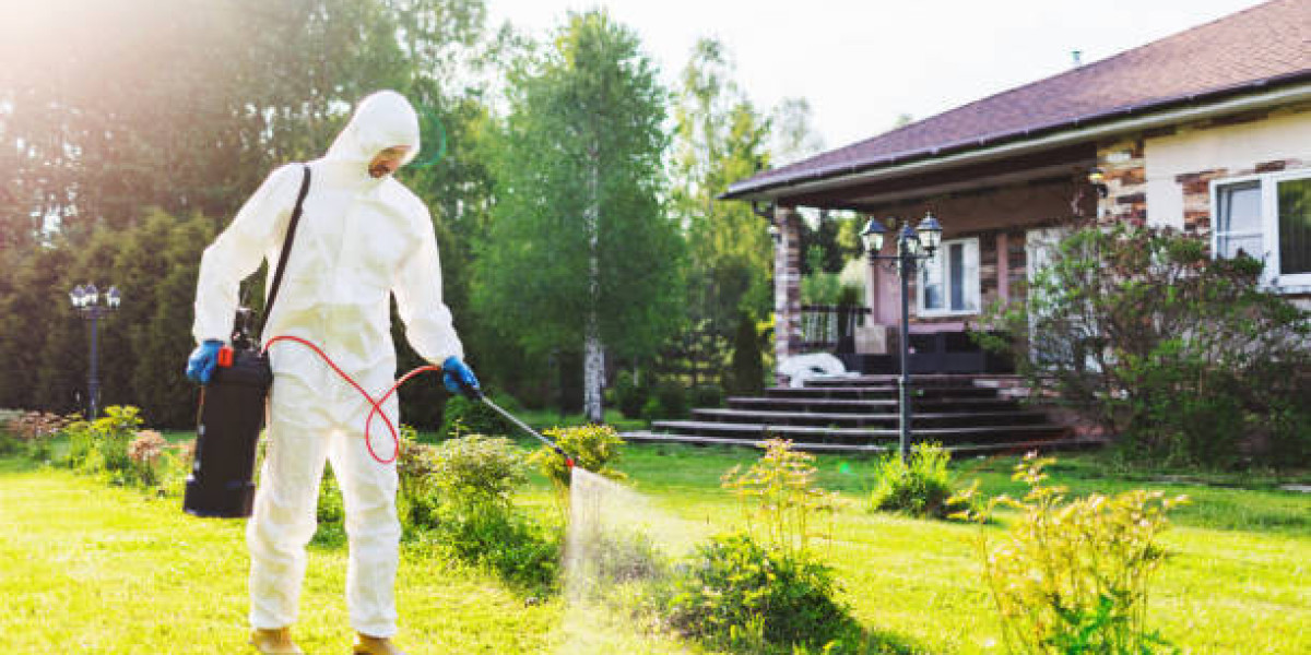 Best Pest Control and Termite Treatment in Lahore for Long-Lasting Property Protection