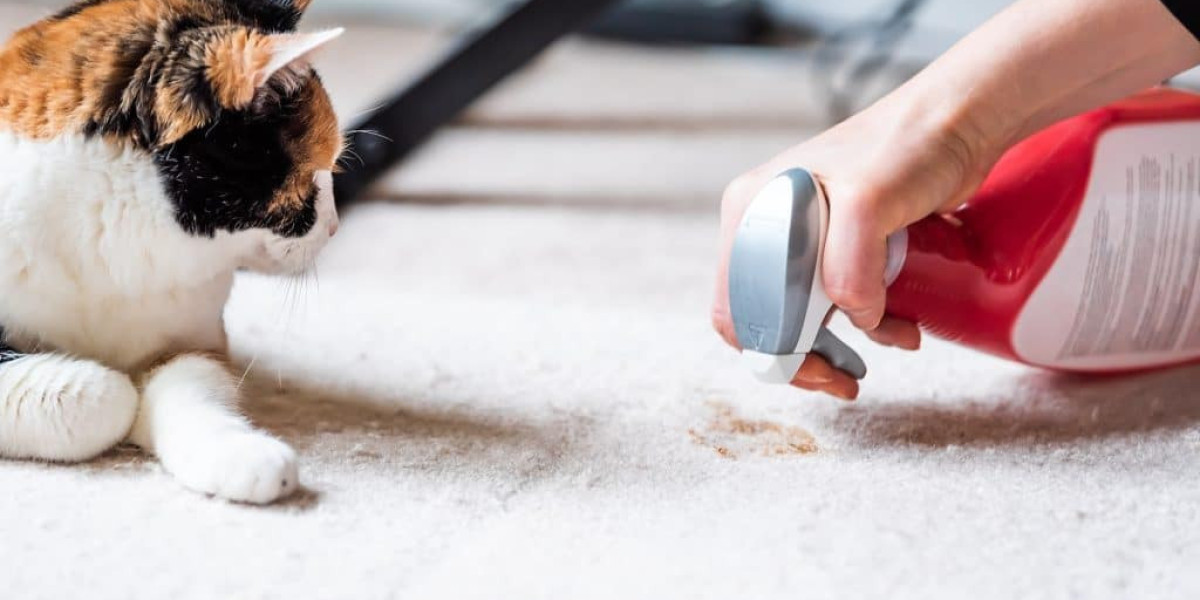 How to Handle Fresh Pet Stains Before They Set?