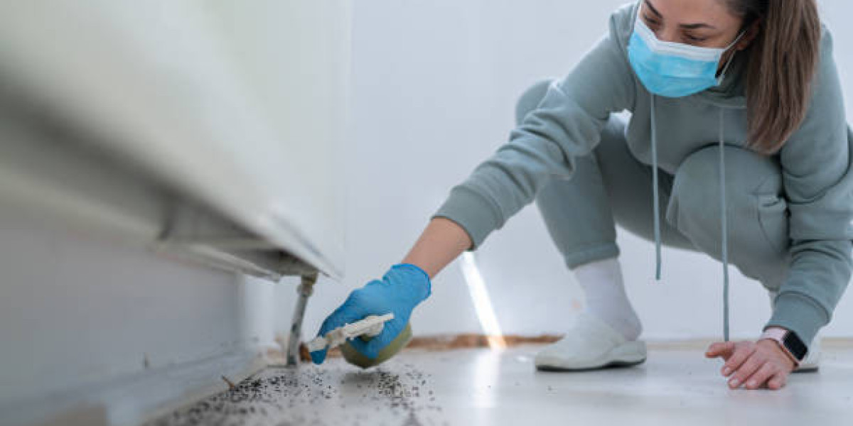 Deep Cleaning Services for Removing Hidden Dirt and Built-Up Grime